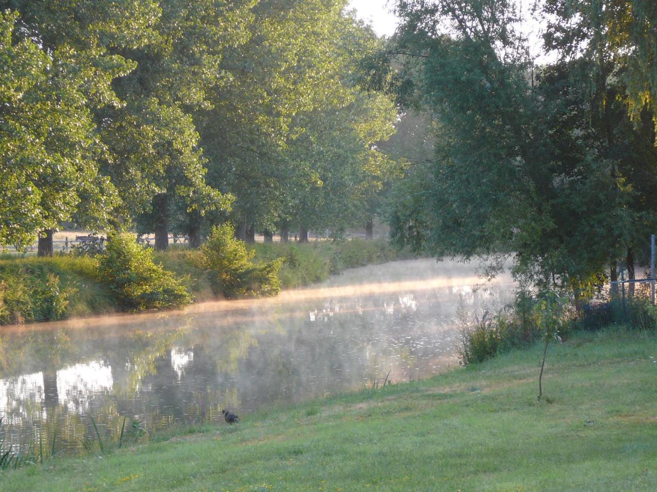 Au Crapaud Charmant Merbes-le-Chateau Ngoại thất bức ảnh